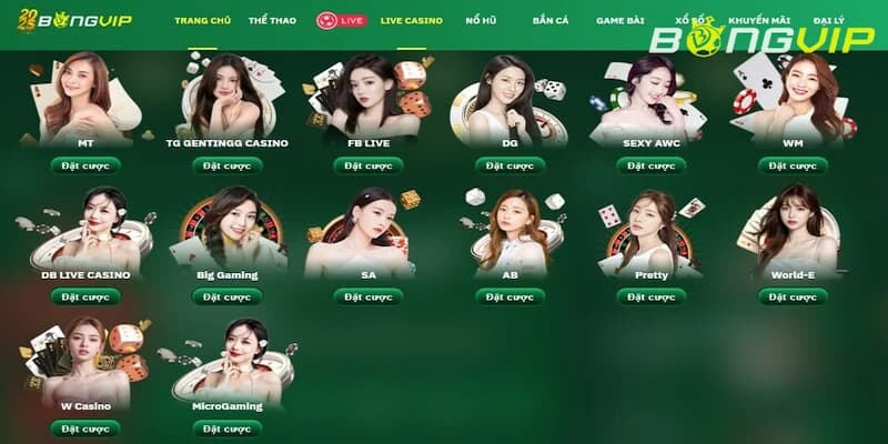 Bongvip - Nền tảng chơi game live casino tỷ lệ thưởng cao